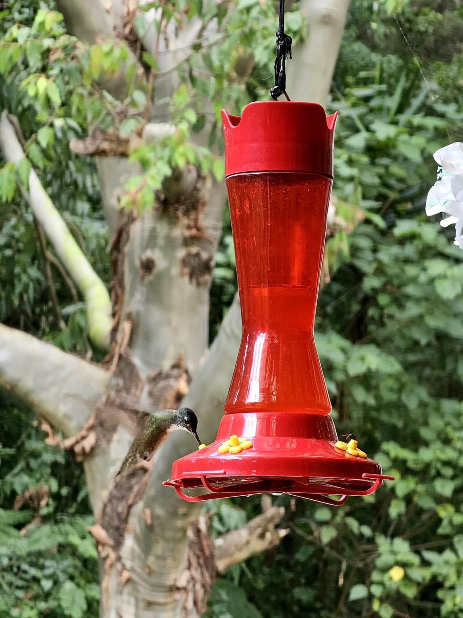 Eco Suites Uxlabil Guatemala Esterno foto